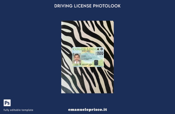 modello FRONTALE photolook versione patente di guida USA Colorado stile verifica